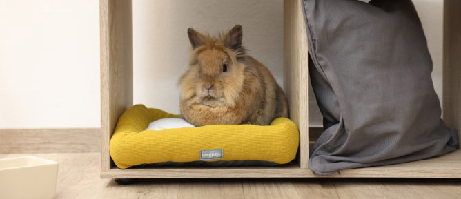 KERBL - Cozy Basket for Rabbits and Guinea Pigs