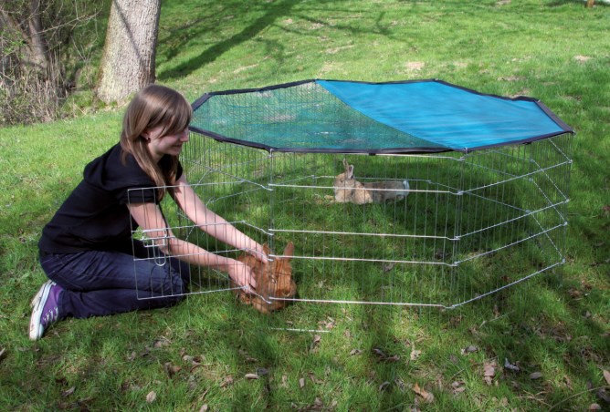 KERBL - Modular Enclosure for Rabbits and Rodents