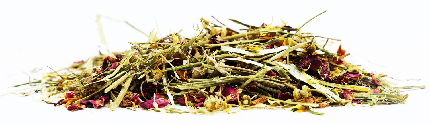 Blumen und Feldkräuter für Kaninchen und Nagetiere
