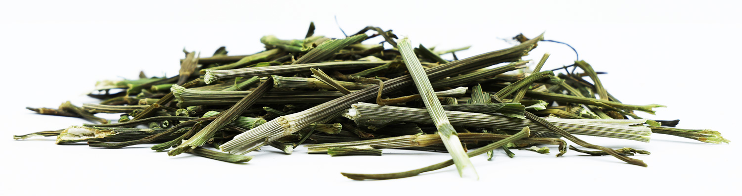 Dill stem for rabbits and rodents