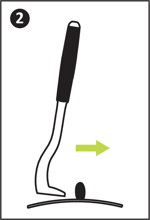 tick hook puller