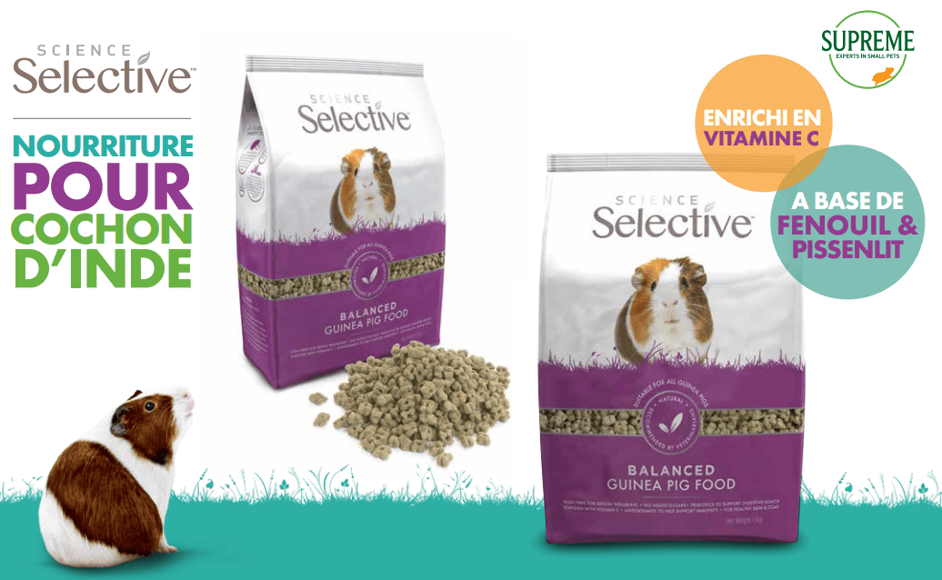 The benefits of SCIENE SELECTIVE food - Guinea pig