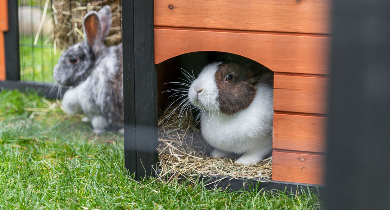 TRIXIE - Enclos en Bois avec Niche et Couverture