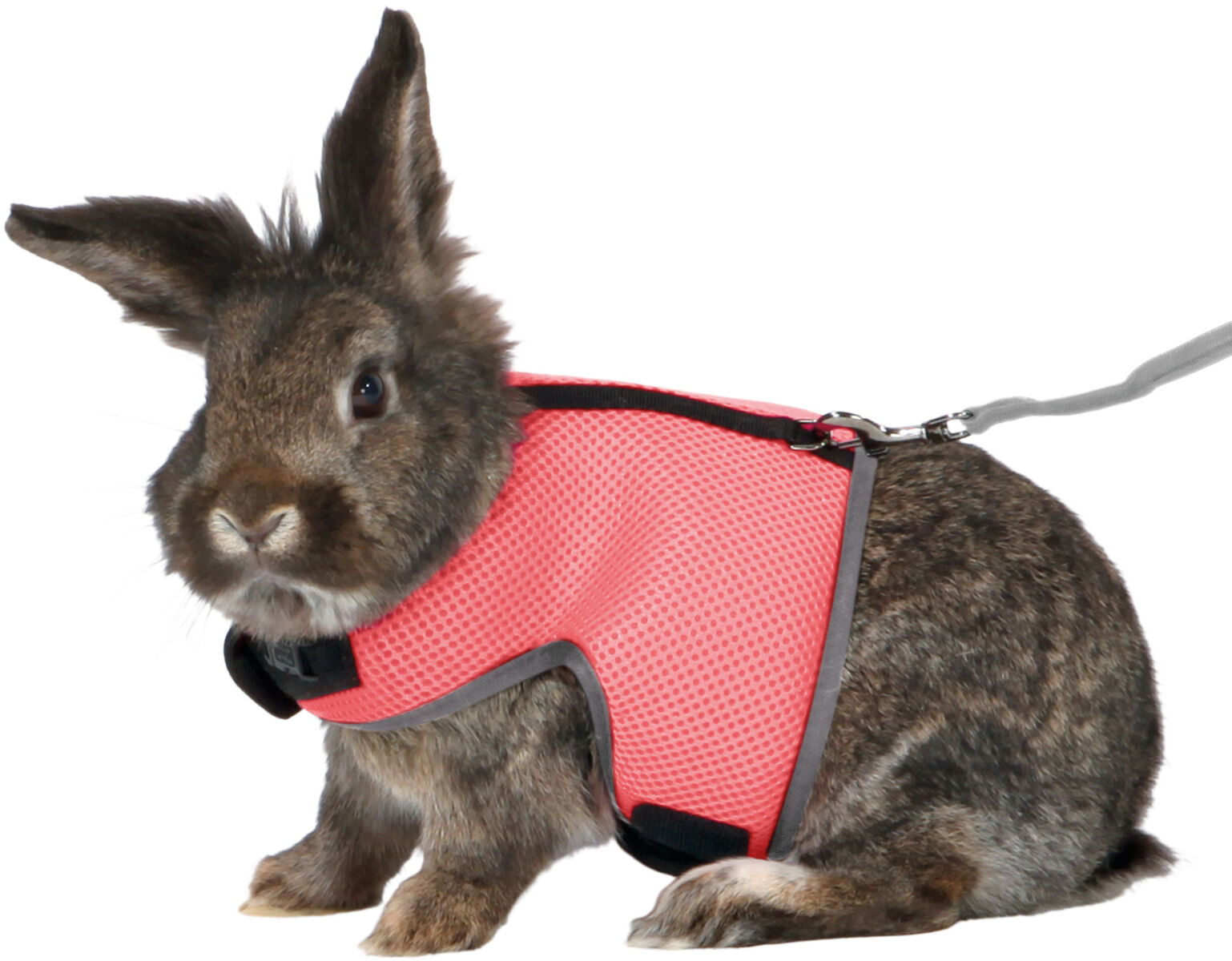 TRIXIE - Harness for Large Rabbit with Leash