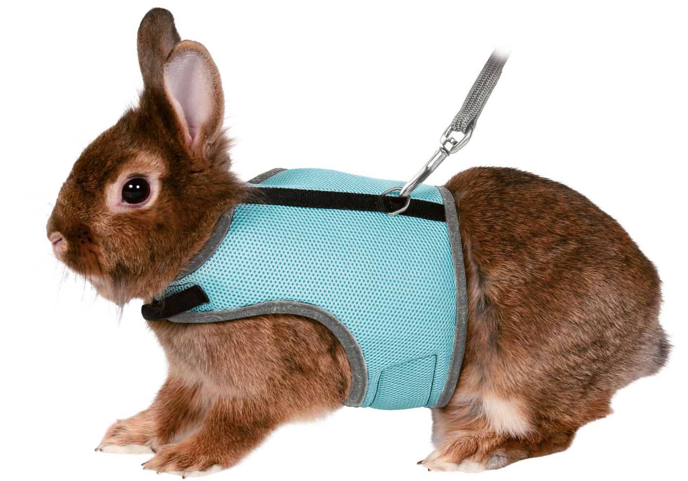 TRIXIE - Dwarf Rabbit Harness with Leash