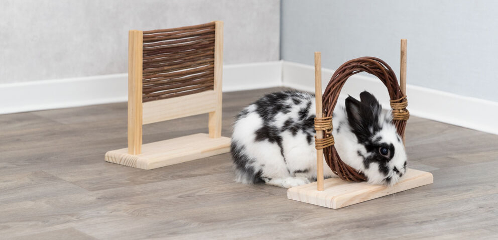 TRIXIE – Springreiten für Kaninchen oder Ratte