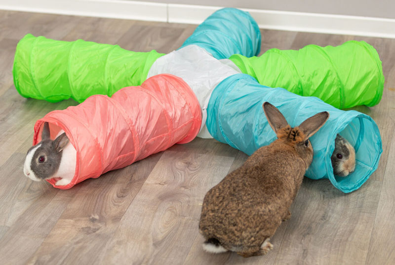 TRIXIE - Play Tunnel with 5 Entrances