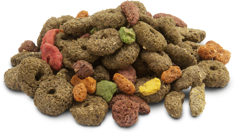 VERSELE LAGA - Crispy Snack Fibers