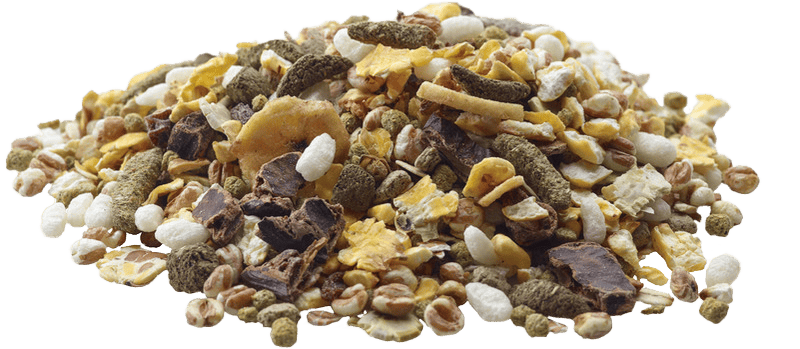 VERSELE LAGA - Cereales Snack Naturaleza