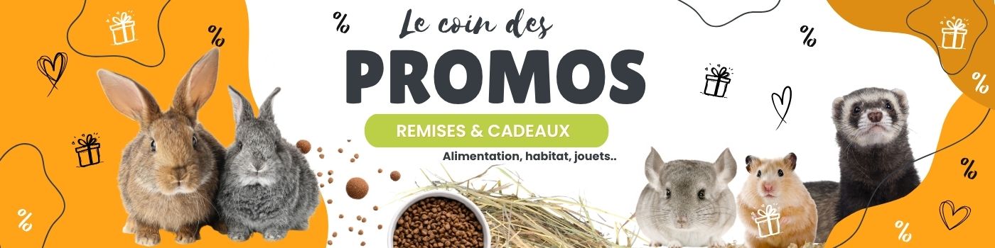 Le coin des promos